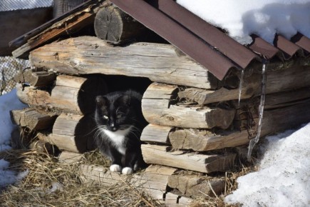 Доброе утро, жители Забайкалья и гости региона! Сегодня 21 февраля — суббота