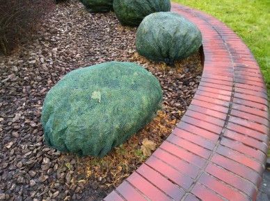 ��� ����������� ������ ��� ������ ������� ��������