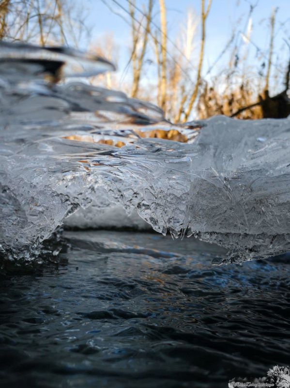 ������ �����, ����������! ��� � ����������� ��������� ������