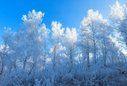 ������ ����, �����������!. ��� � ��������� ������ ���� ��������