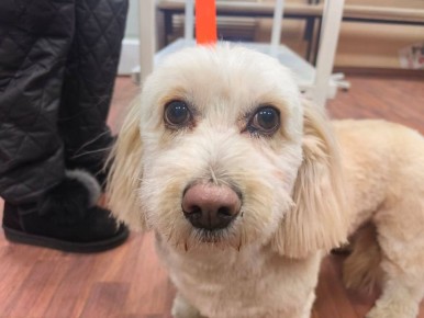 � 1 ����� ������������ ������� ����� �� ���������� ���� � �������� ������