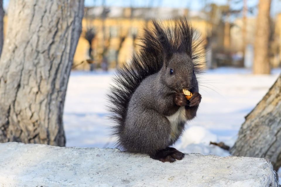 ������ ����, ����������! ������� ������� � 24 �������