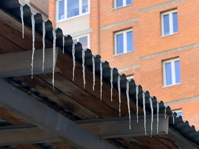 ��������������� ���������� ��������� ��������������� ���� ���� �� ���������� ������ ���������� ���������� ����������