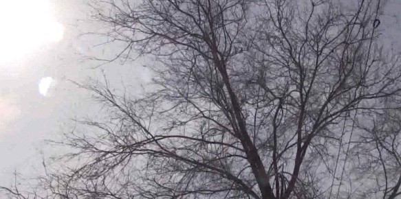 Усиление ветра ожидается в Забайкалье