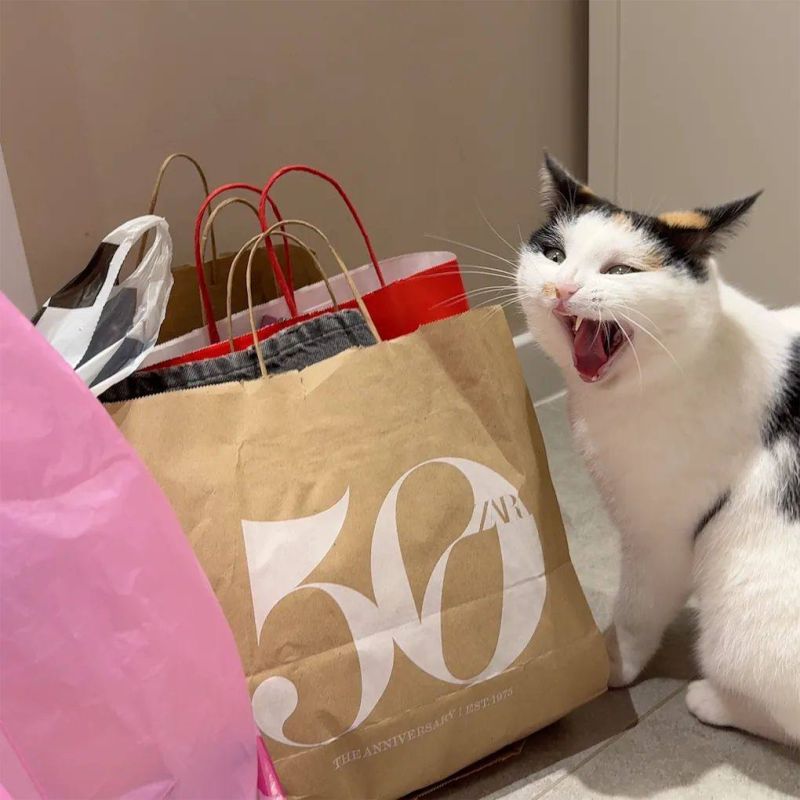 �������� � ��������� � ������ 15 000 ������ �� ������ � �� ���V�����!