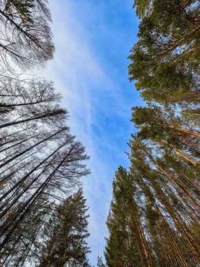 ������ ����, �����������!. ������ ��� ��������� ��� � �������� ����������! ����: �������� ������� @zabrtk | MAX | VK