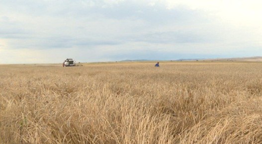 � ���������� ����������� ����������� �������������������� �������