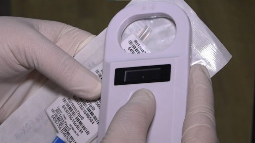 С 1 марта забайкальцев начнут штрафовать за отсутствие регистрации у собак