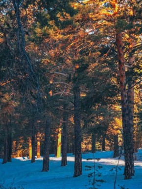 ������ ����, ����������! ������� 26 �������, ��������� ������� ���� ����