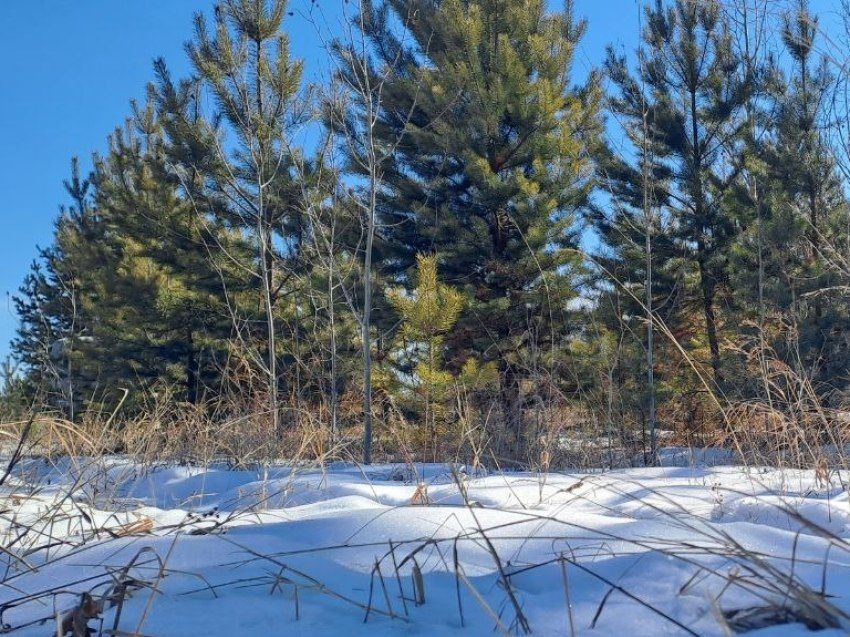 ����� 416 ��������� ������ ������������� �� 2026 ��� �� ���������� ����� �������������� ����