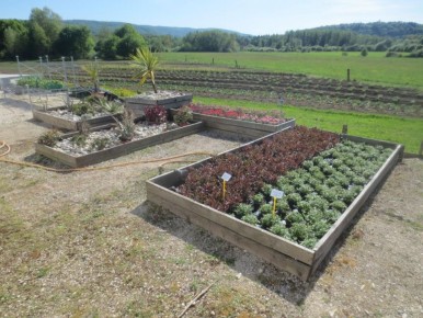 ������� ��������� ������: ������� ������ ��� ����� ��������