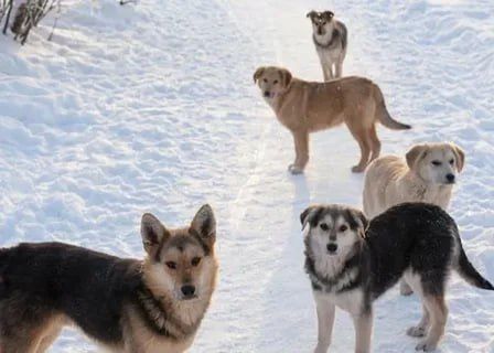 ����� ����� ������������. �� �������� ����� ����������� �������� ���������� ��������� ������������� ���������� ������ ������ ���� ���� ��������� 19 ����� � ������ ���� ���������; ���� ��������; ��������; 3-� �����;...