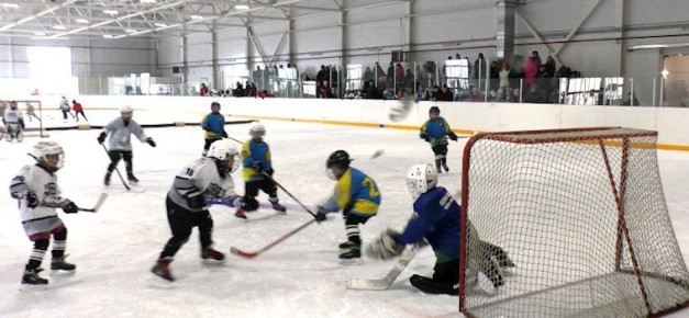 � ����������� ������ ������������ ������� ���� ����������