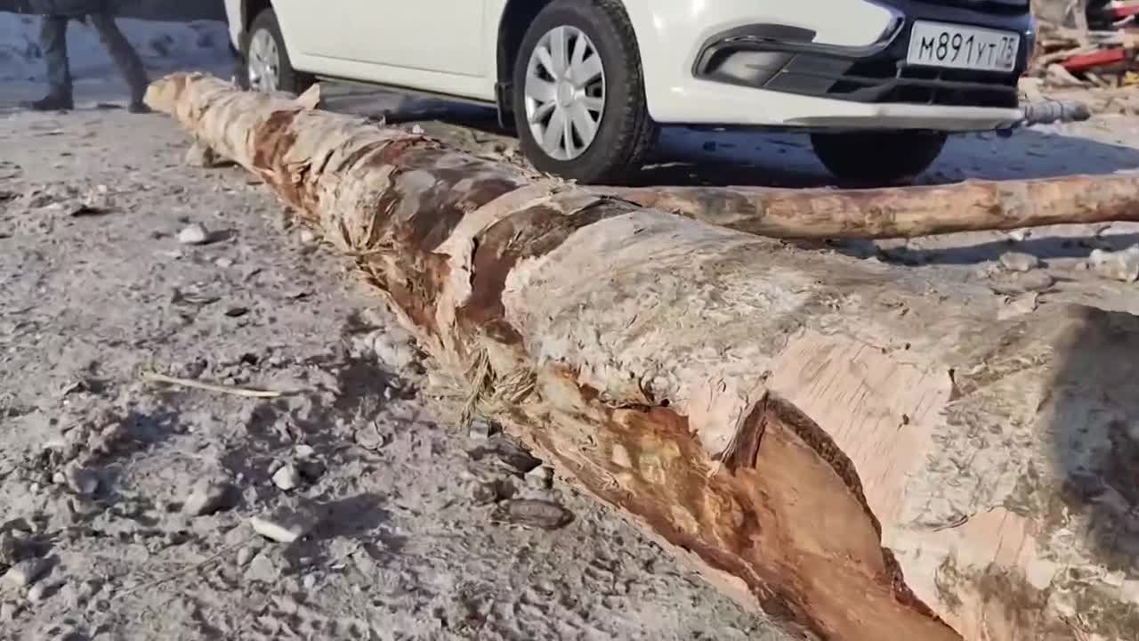 Хозяйка дома, в который влетел лесовоз, не пострадала