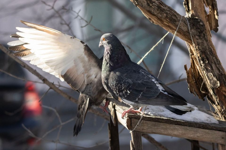 ������ ����, ������ ���������� � ����� �������! ������� 28 ������� � �������, ��������� ���� ����