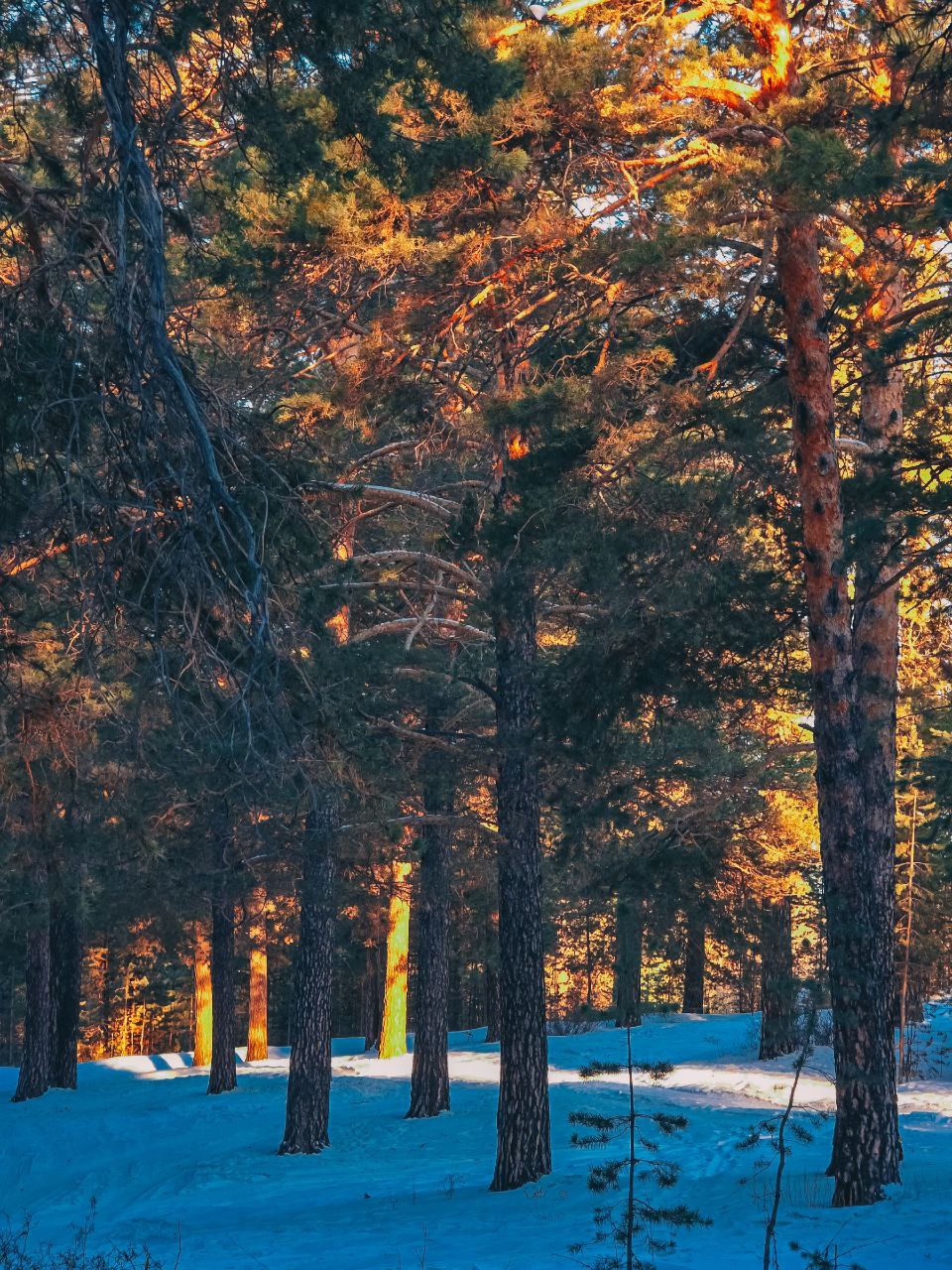 Завтра в календаре долгожданное первое марта, а значит, весна официально вступает в свои права! Завтра в календаре долгожданное первое марта, а значит, весна официально вступает в свои права!