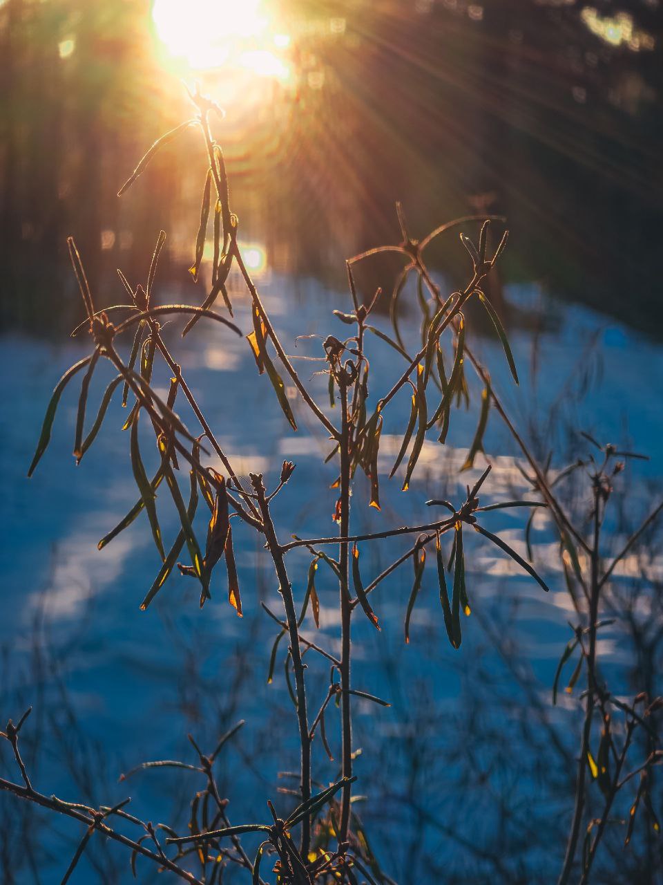 Завтра в календаре долгожданное первое марта, а значит, весна официально вступает в свои права! Завтра в календаре долгожданное первое марта, а значит, весна официально вступает в свои права!