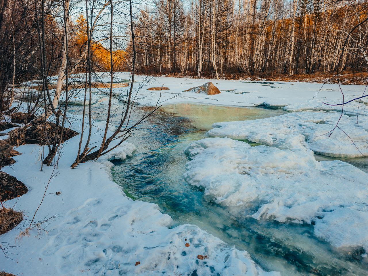 Завтра в календаре долгожданное первое марта, а значит, весна официально вступает в свои права! Завтра в календаре долгожданное первое марта, а значит, весна официально вступает в свои права!