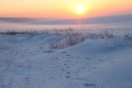 Доброе утро, забайкальцы. Желаем вам теплых и уютных выходных Фото: Ольга Варванович @zabrtk | MAX | VK
