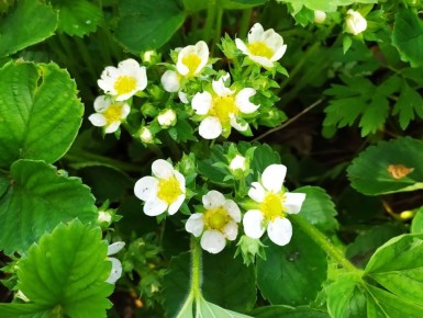 ��� ��������� �������� �������� � ���: ������� ��� �������� ������