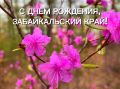Дорогие земляки!. От всей души поздравляю вас с Днём образования нашего родного Забайкальского края! Забайкальский наш край, и знакомый, и неизведанный! Здесь - озера в глазах, и тайга в вышину, и души широта, и небес...