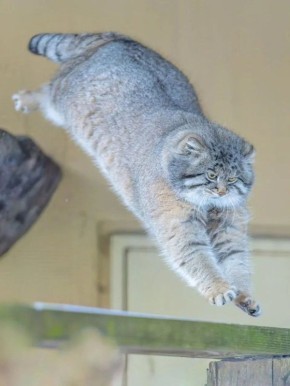 Доброе утро, жители края! Сегодня воскресенье, 1 марта - первый день весны и День рождения нашего родного Забайкалья!
