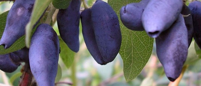 ���������: �������� ���� � ���������� ��� ������ ����