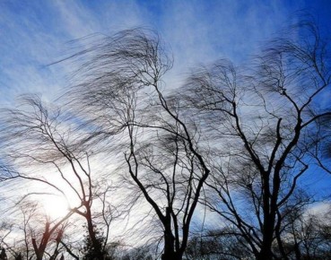Внимание!. Завтра, 3-го марта, в Чите ожидается снег, ветер северо-восточный, ночью 3-8 м/с, днем 6-11 м/с