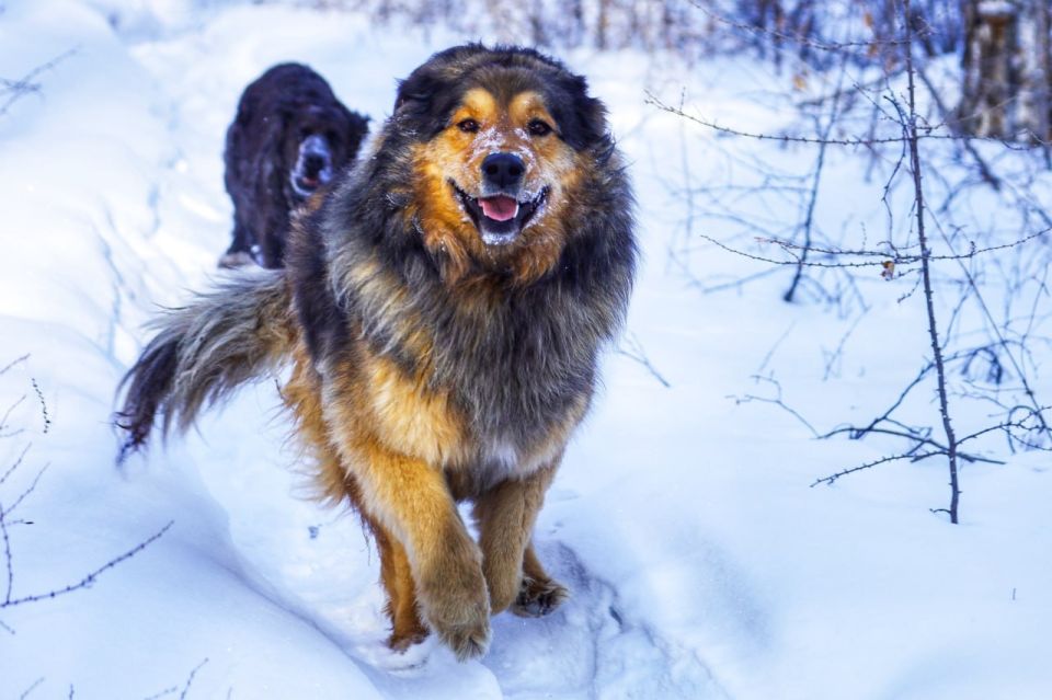 ������ ����, ����������! �� ��������� ����������� � 2 �����