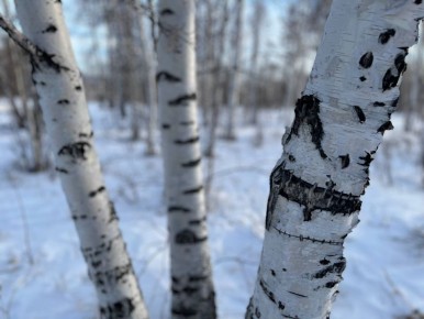 ������� ������� � ����� ������� ����������!