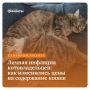 Коты и личная инфляция: как растут расходы на пушистых любимцев