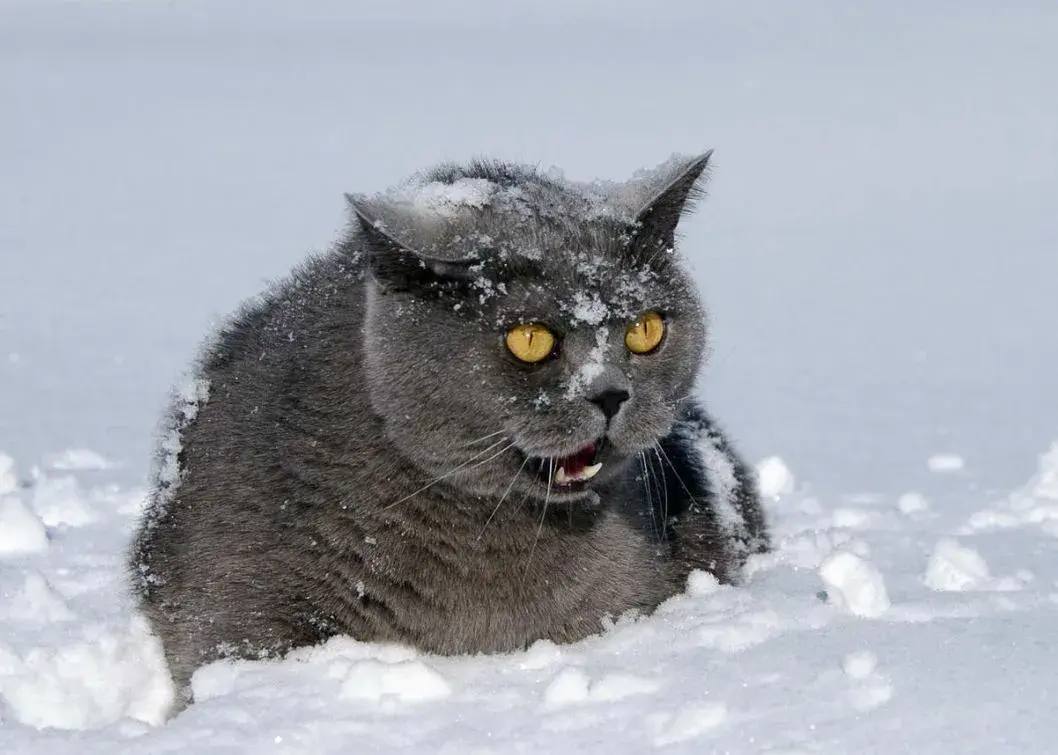 Зима вернулась. По информации МЧС Забайкалья, завтра по региону ожидается снег, сильный ветер до 15-20 м/с, метель, снежные заносы и накат, а также понижение температуры воздуха