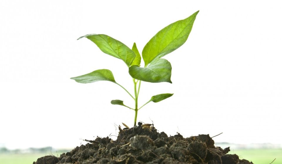 ��� ��������� ��������� ������� �����