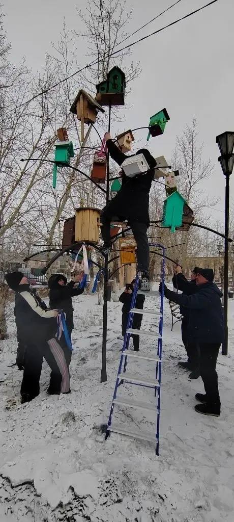 В честь Дня рождения Забайкальского края в Борзе организовали акцию «Дерево пожеланий» В честь Дня рождения Забайкальского края в Борзе организовали акцию «Дерево пожеланий»