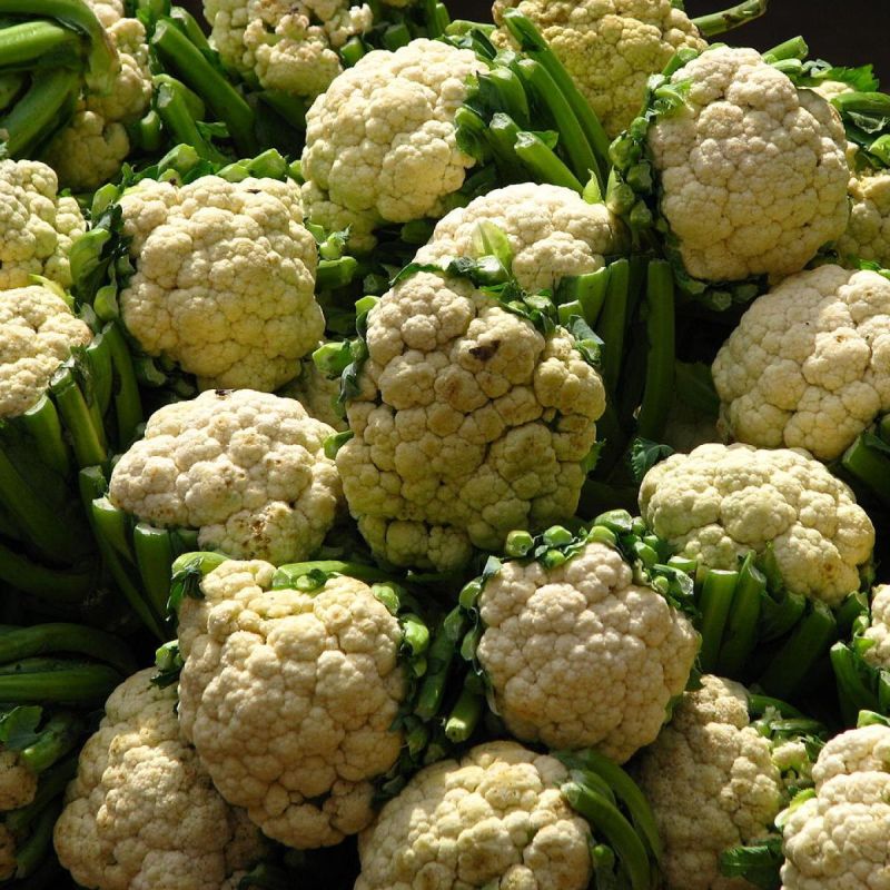 ����������� ������ �� �������������� ���������� ������� �������