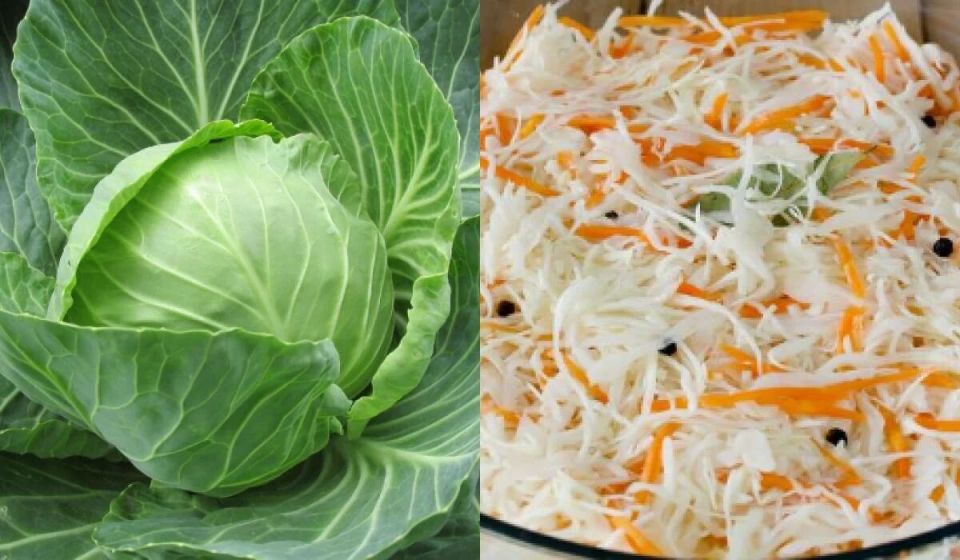 ��� ���������� �� ������ � ����� � �������� �������: ������� ��������� �������