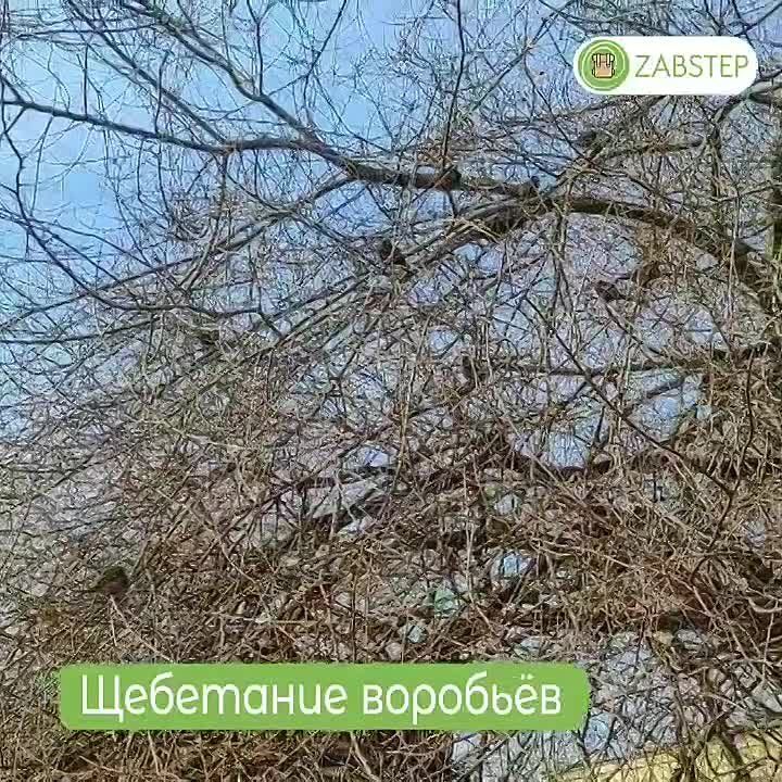 ������ ����, ����������! ������� � �������, 3 �����