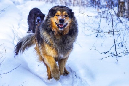 Доброе утро. Желаем продуктивного и хорошего дня