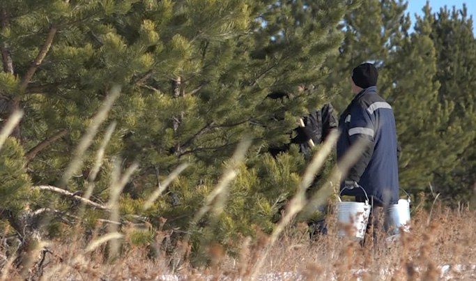 � ���������� �������� �������� ����� ��� �������������� �����