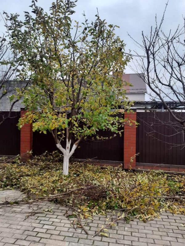 ������ �����: ����� �� ���������� � �������� �������� �������?