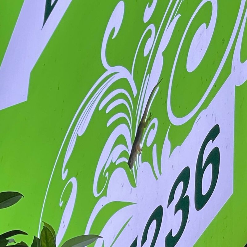 ��������� ������������� ����� ������� ��������