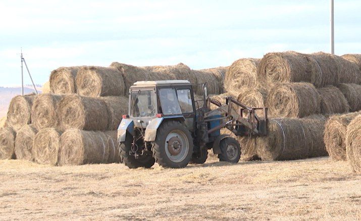 � ���� ������� �������� ����� ��������� ������������� � ���������������� ��������� ���������� �� 2025 ���