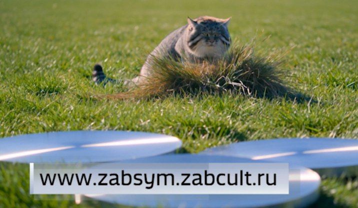 ����� ���������� ��������� ���� ����������� ������������� ������ ������ ����� �������� �����������