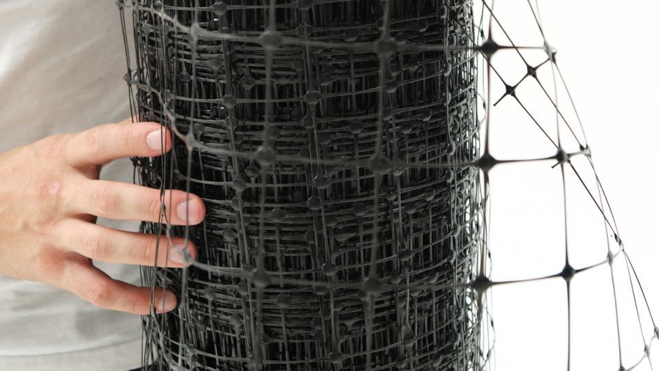 ��� �������� ���� ������ ����������� �����: ��������� ������ �� �����