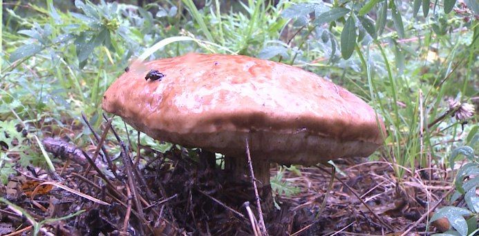 � 1 �������� 2026 ���� �������� � ���� ����� ������� ������� ������ �������� � ������, ��������� � ������� �����