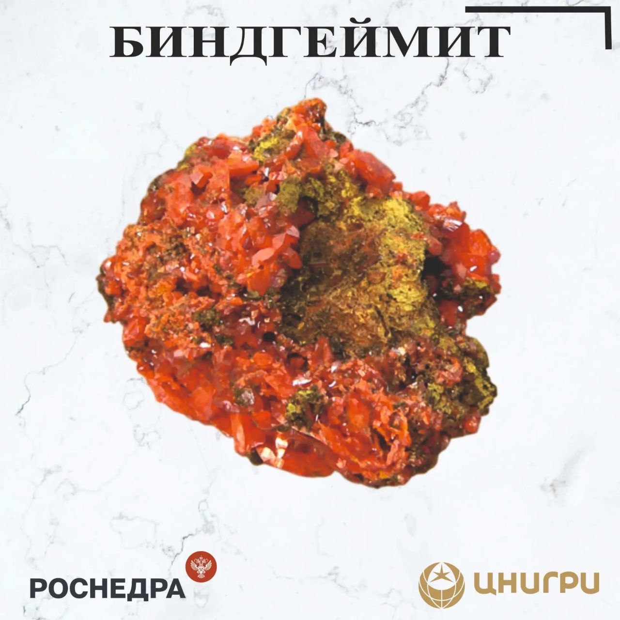 В эту среду ЦНИГРИ. расскажет о биндгеймите