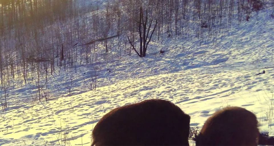 �������������� ������� � �������� ����� ����� ��������� �������