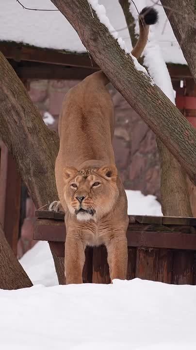 ������ ��������. ������ ��� ������� ���� ������ �� ���������� � ������������, ��� ��� ��� ���������� ������