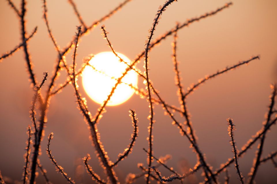 ������� ��������� ������ �������������, ��������� ��� ������ ����