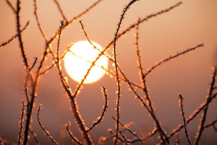 Госдума выступила против законопроекта, ставящего под угрозу ООПТ